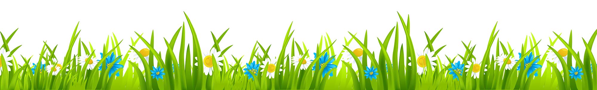 Knowledge Garden - Where Learning Grows